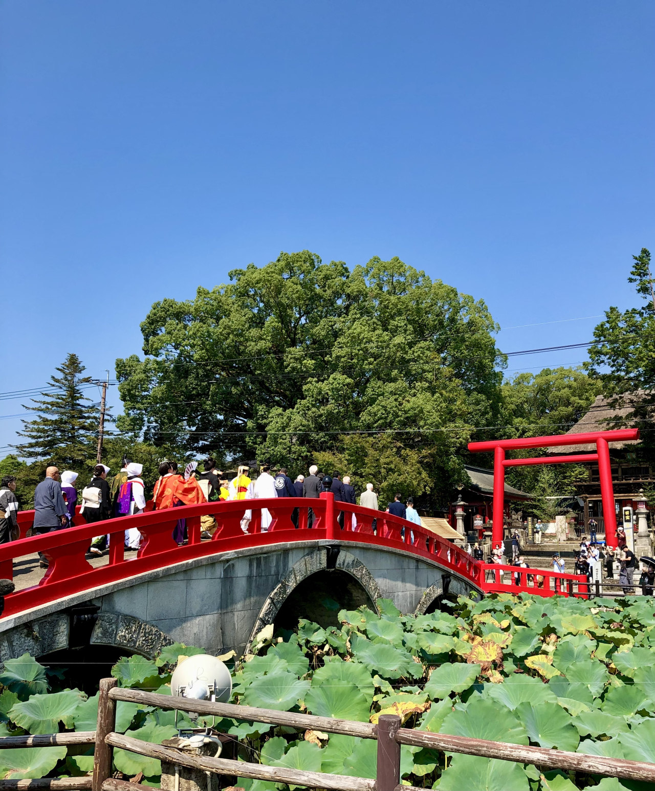 人吉球磨最大のお祭り開催！